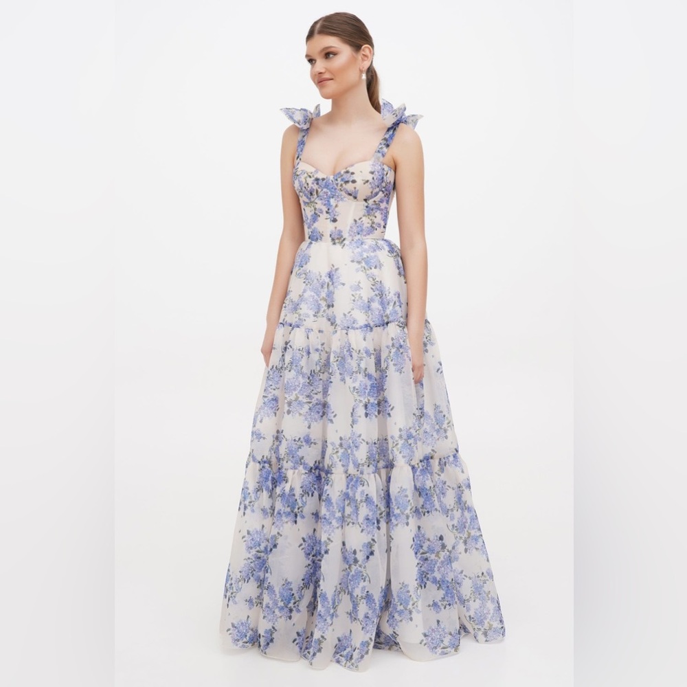 Milla Hydrangea Organza Maxi Dress - XS (Like New)